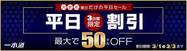 3日間限定平日割引