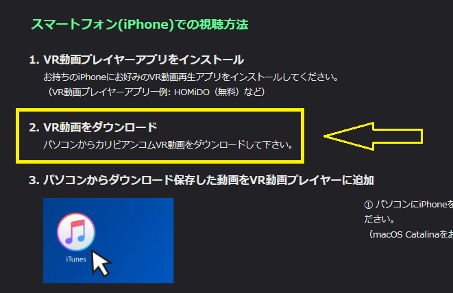 VR動画の視聴方法